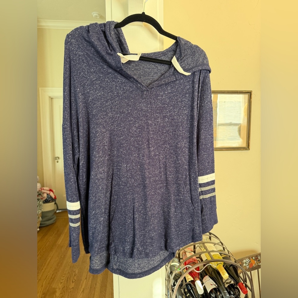 Market & Spruce V-Neck Sweater in Blue and White